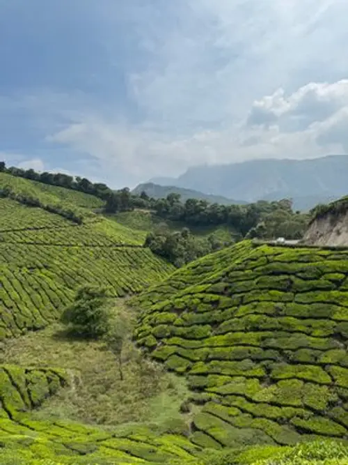 product page main image