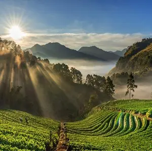 Sunlight beams through mist over green terraced fields and distant mountains under a blue sky in coorg