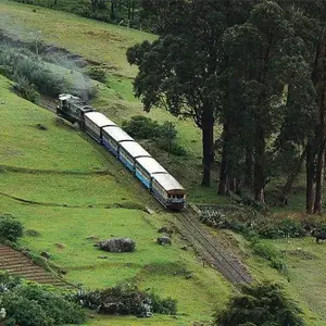 A long blue and white train with a green engine travels on tracks through a lush green valley with trees in ooty