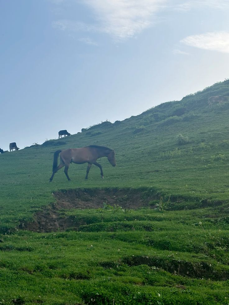 product page main image