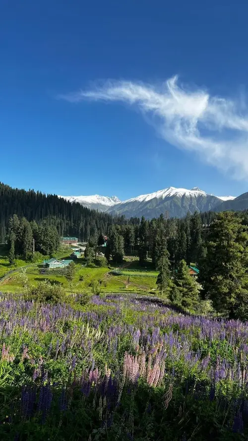 product page main image