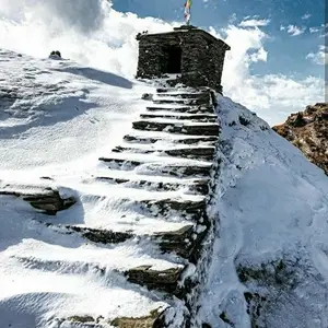 Lush green meadows and Tungnath temple views in Chopta, promoting trekking and camping experiences.