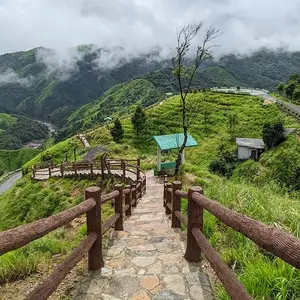 Meghalaya travel banner featuring a misty mountain forest. Text: Monsoon Marvels Await! Starting at ₹17,630.