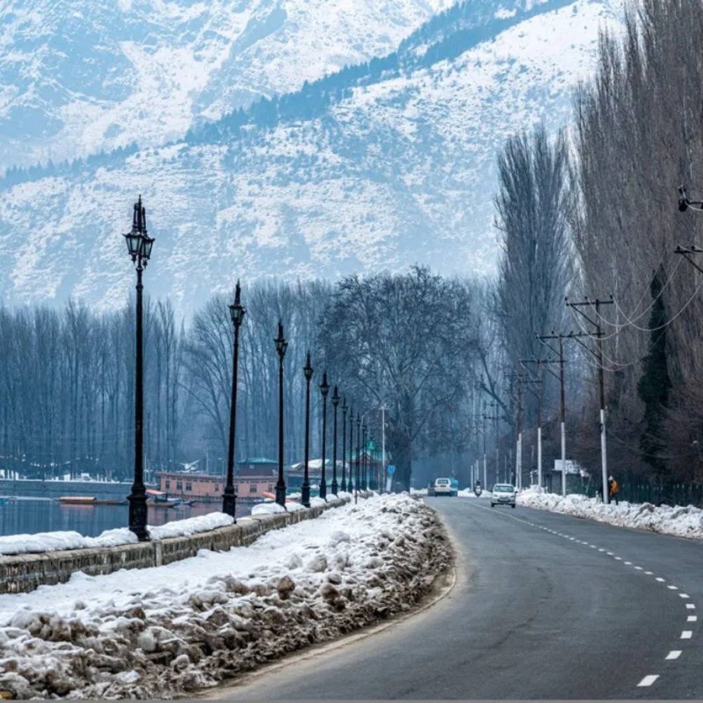 Dal Lake with Shikaras and snow-capped mountains in Kashmir, promoting honeymoon and family holiday packages.