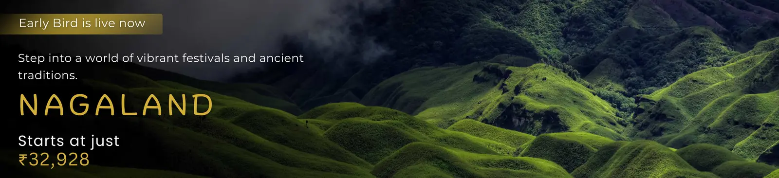 Nagaland travel banner showcasing lush green rolling hills. Text: Early Bird is live now. Step into a world of vibrant festivals and ancient traditions. Nagaland starts at just ₹32,928.