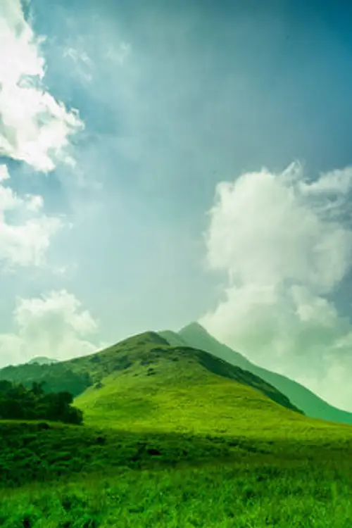 product page main image